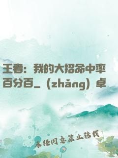 王者：我的大招命中率百分百