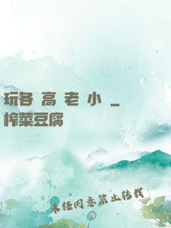 玩各種高齡老婦小說
