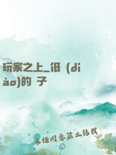 玩家之上