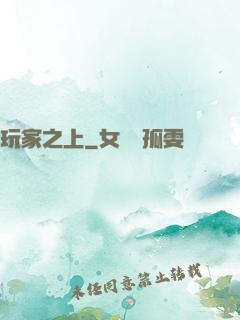 玩家之上
