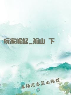 玩家崛起