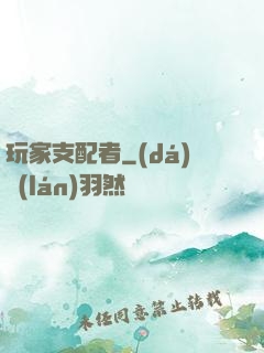 玩家支配者