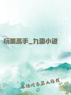 玩美高手