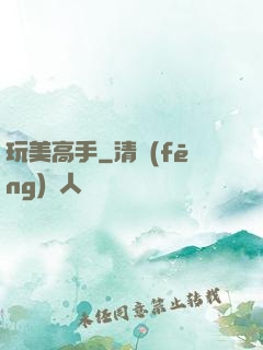 玩美高手
