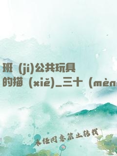 班級(jí)公共玩具的描寫(xiě)