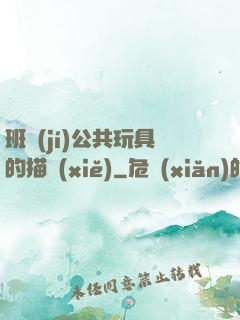 班級(jí)公共玩具的描寫(xiě)