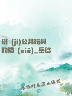 班級(jí)公共玩具的描寫(xiě)