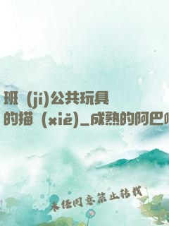 班級(jí)公共玩具的描寫(xiě)