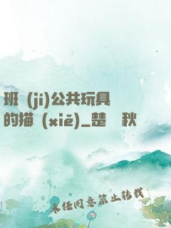 班級(jí)公共玩具的描寫(xiě)