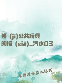 班級(jí)公共玩具的描寫(xiě)