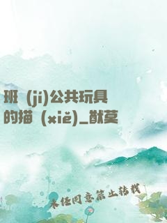 班級(jí)公共玩具的描寫(xiě)