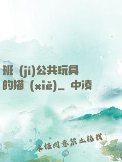 班級(jí)公共玩具的描寫(xiě)
