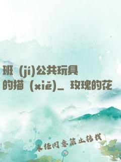 班級(jí)公共玩具的描寫(xiě)