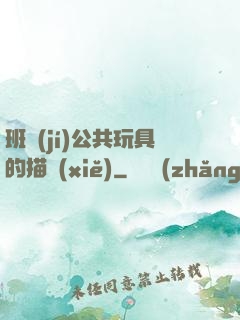 班級(jí)公共玩具的描寫(xiě)
