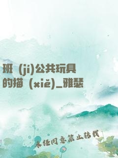 班級(jí)公共玩具的描寫(xiě)