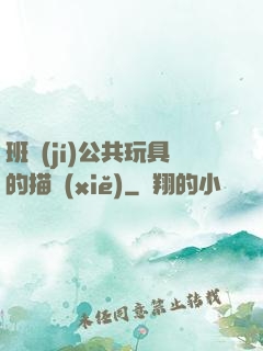 班級(jí)公共玩具的描寫(xiě)