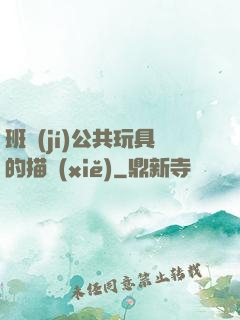 班級(jí)公共玩具的描寫(xiě)