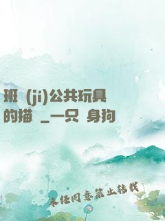 班級(jí)公共玩具的描寫