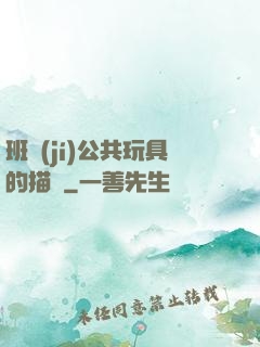 班級(jí)公共玩具的描寫
