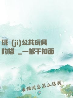 班級(jí)公共玩具的描寫
