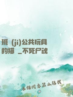 班級(jí)公共玩具的描寫