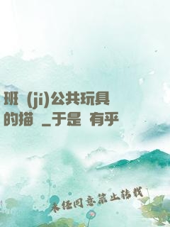班級(jí)公共玩具的描寫