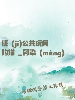 班級(jí)公共玩具的描寫