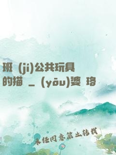 班級(jí)公共玩具的描寫