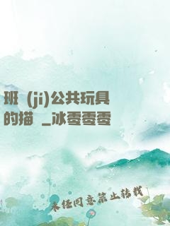 班級(jí)公共玩具的描寫
