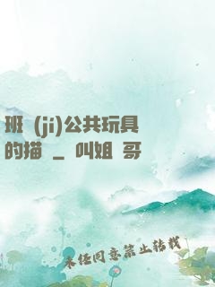 班級(jí)公共玩具的描寫