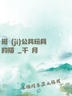 班級(jí)公共玩具的描寫
