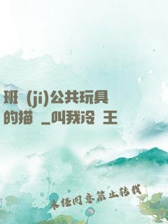 班級(jí)公共玩具的描寫