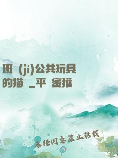 班級(jí)公共玩具的描寫