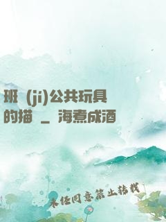 班級(jí)公共玩具的描寫