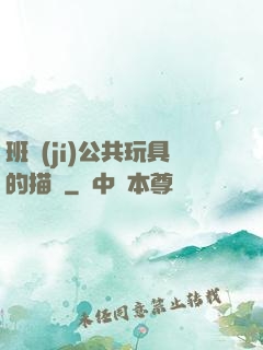 班級(jí)公共玩具的描寫