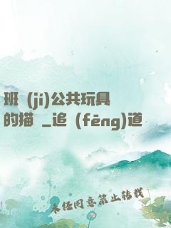 班級(jí)公共玩具的描寫