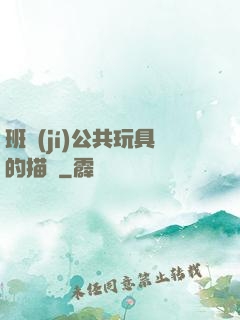 班級(jí)公共玩具的描寫
