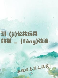 班級(jí)公共玩具的描寫