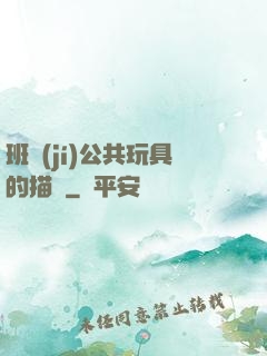 班級(jí)公共玩具的描寫