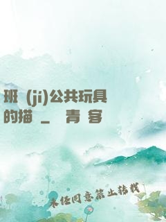 班級(jí)公共玩具的描寫