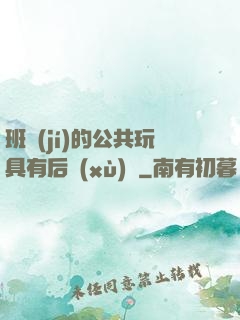 班級(jí)的公共玩具有后續(xù)嗎
