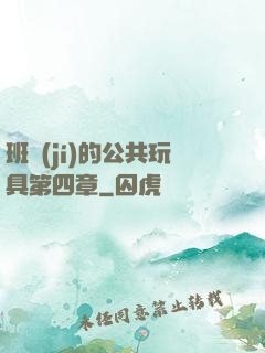 班級(jí)的公共玩具第四章