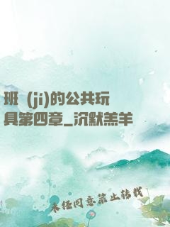 班級(jí)的公共玩具第四章