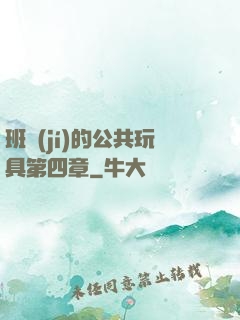 班級(jí)的公共玩具第四章