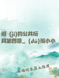 班級(jí)的公共玩具第四章