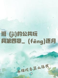 班級(jí)的公共玩具第四章