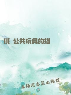 班級公共玩具的描寫