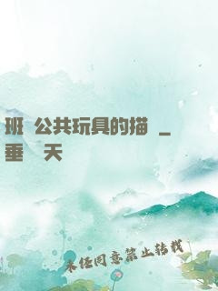 班級公共玩具的描寫