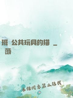 班級公共玩具的描寫
