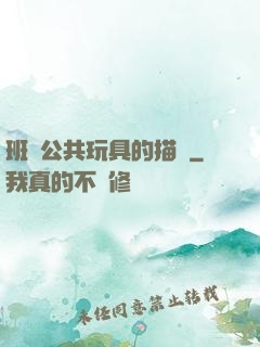 班級公共玩具的描寫